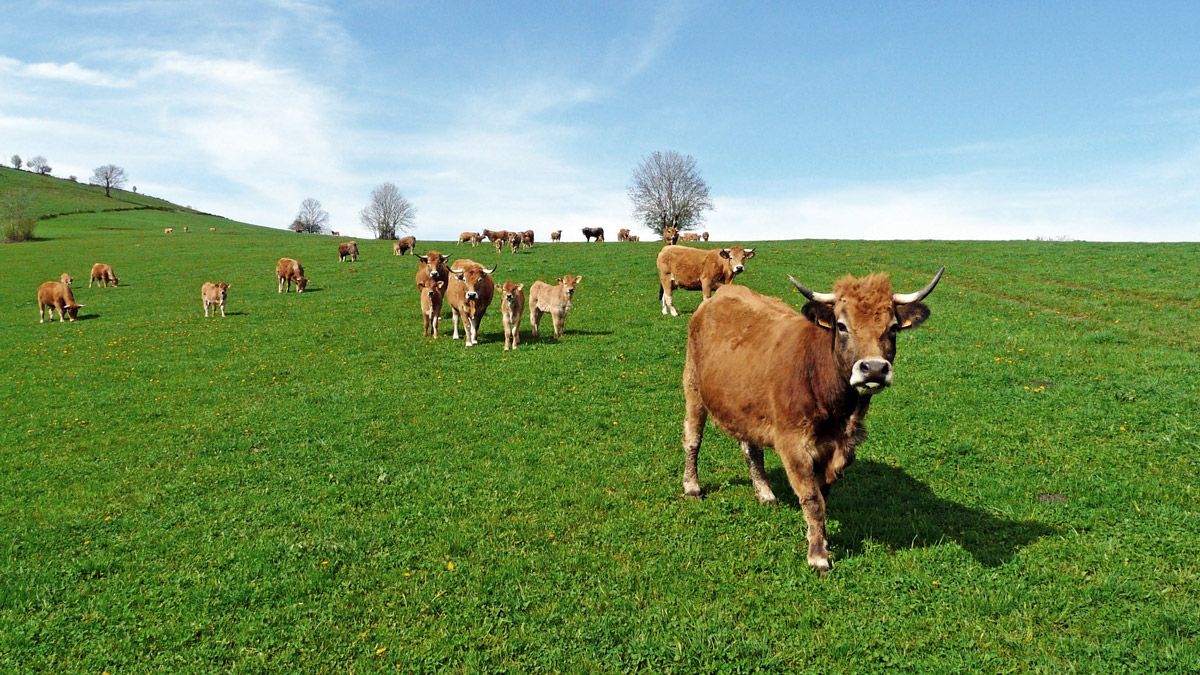 Hygiène - La boutique Farago Cantal