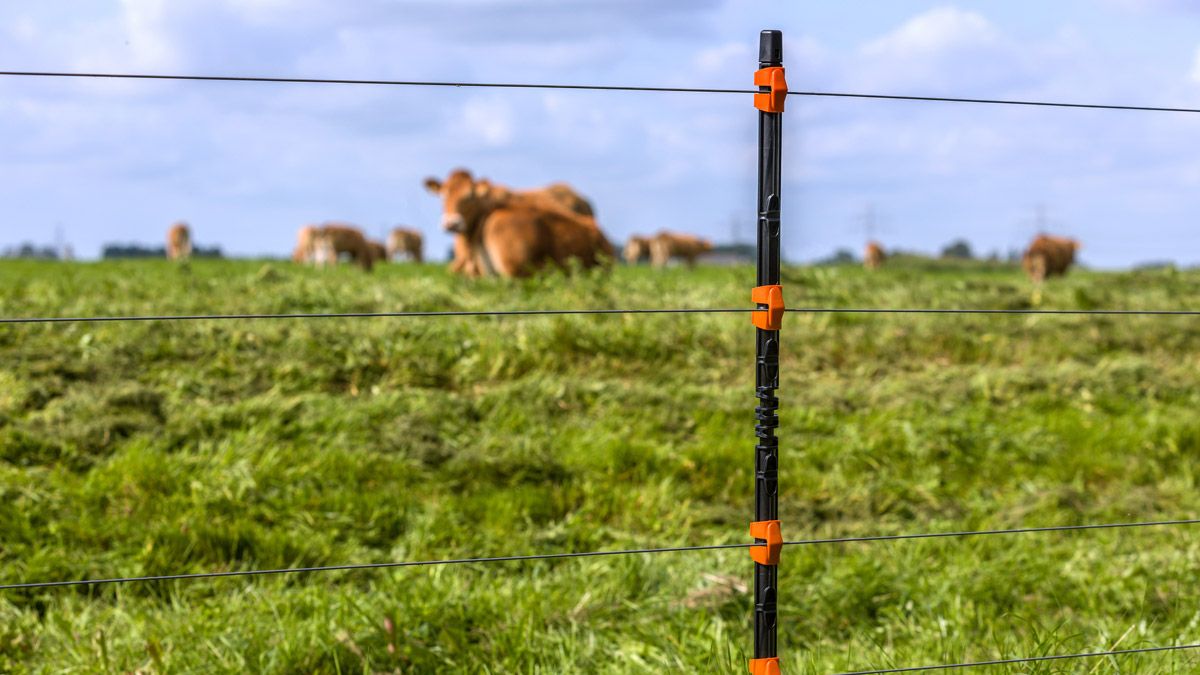 Contention - La boutique Farago Cantal