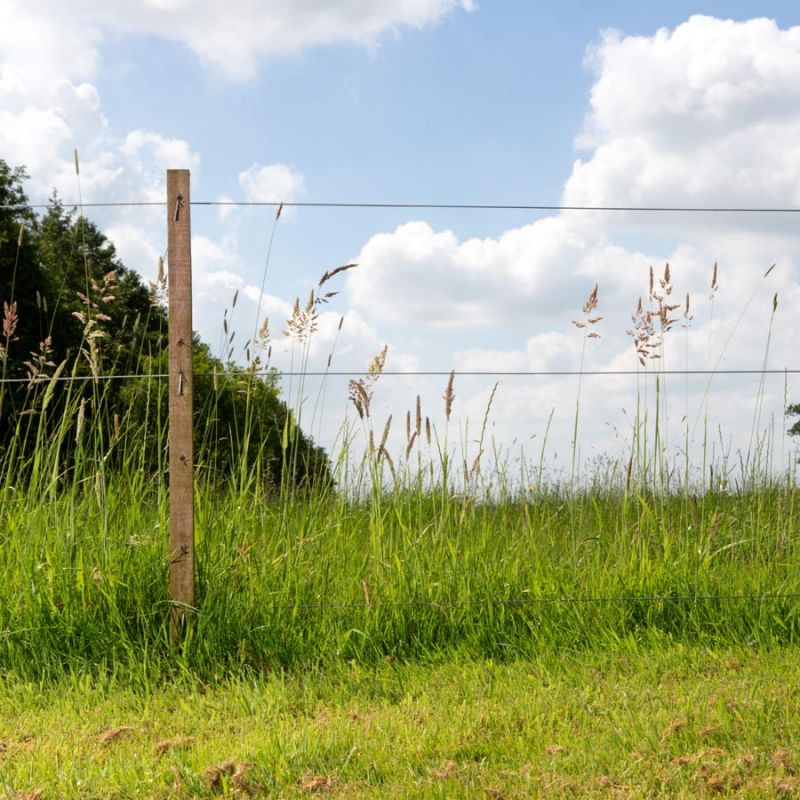 Fil High Tensile ø 1,6 mm (ca. 1580 mètre) – Image 3