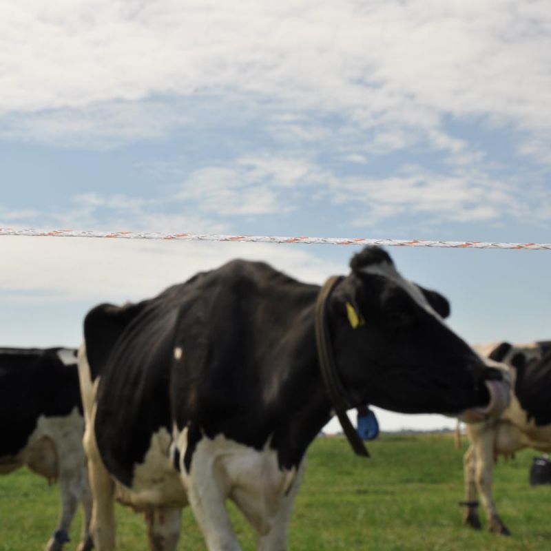 Vidoflex 9 TurboLine Plus (blanc, 400 mètre) – Image 5