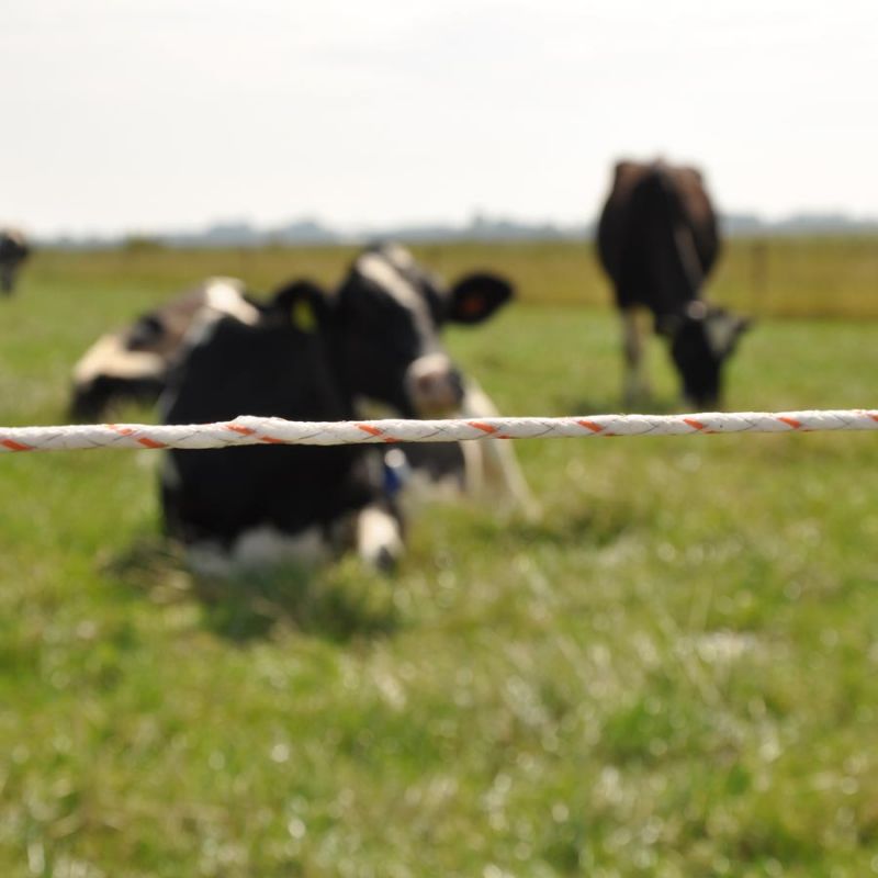 Vidoflex 9 TurboLine Plus (blanc, 400 mètre) – Image 6