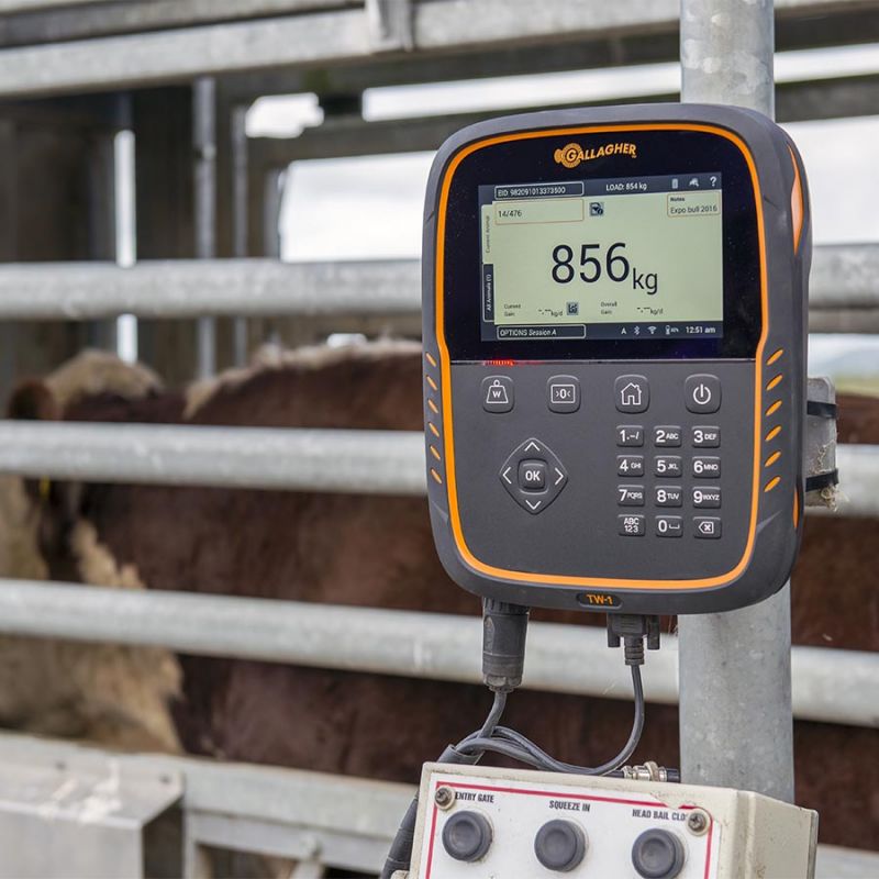 Indicateur de Pesée, TW-1 – Image 5