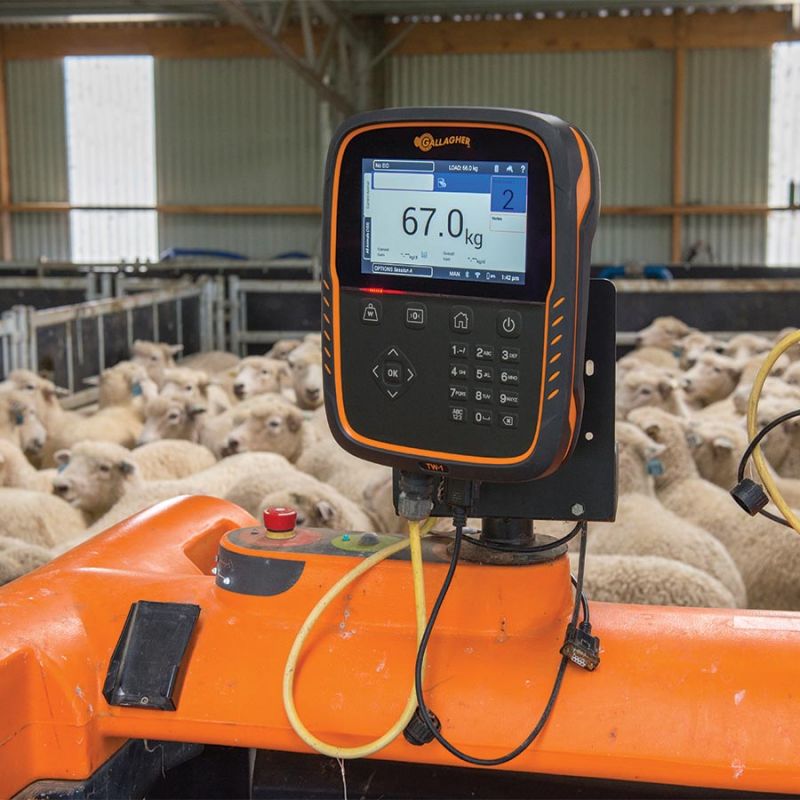 Indicateur de Pesée, TW-1 – Image 6