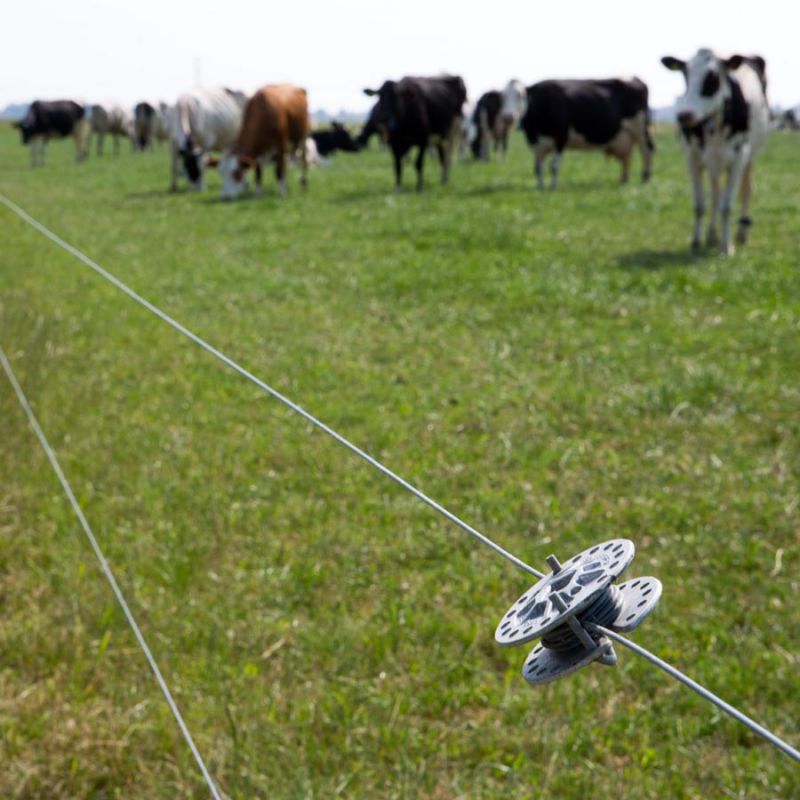 Fil High Tensile ø 2,5 mm (ca. 625 mètre) – Image 6