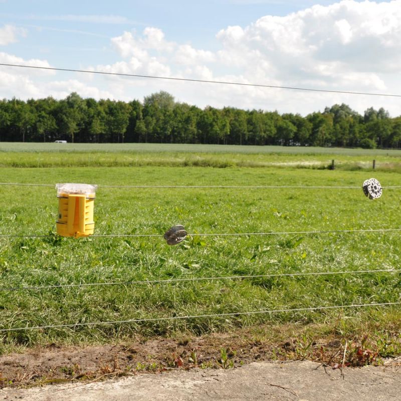 Foxlights – Image 3