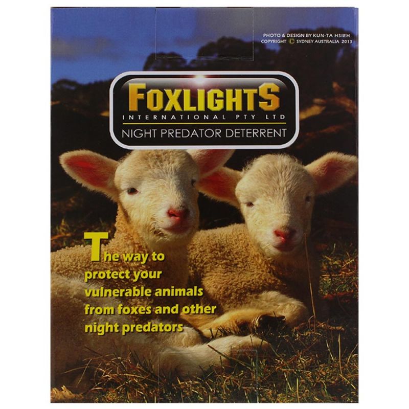 Foxlights – Image 7