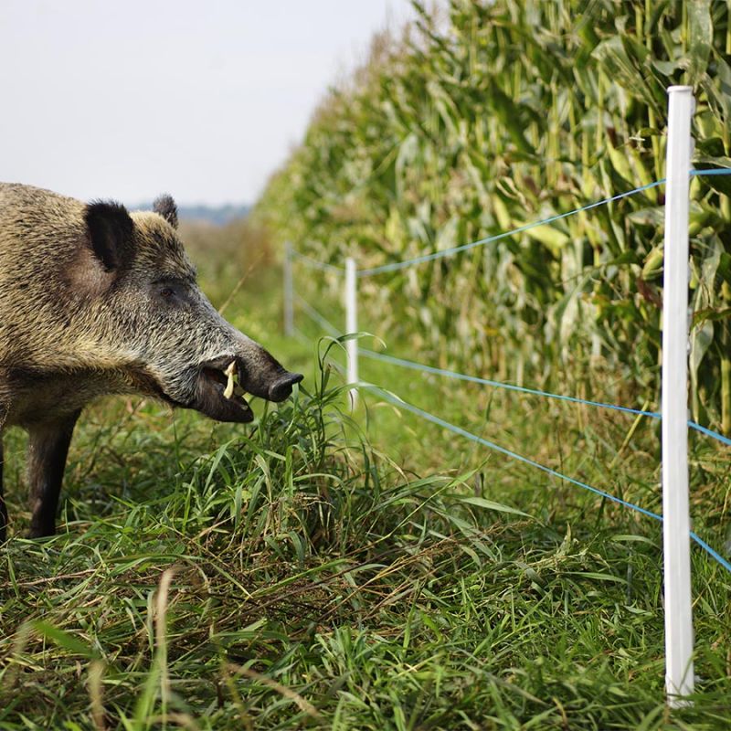 Fil bleu 400m – Image 4