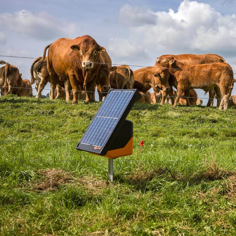 Gallagher électrificateur solaire S200 avec batterie (2 x 12 V - 7,2 Ah) – Image 5