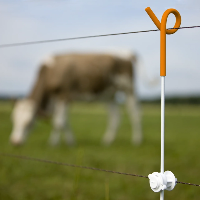 Piquet en fer à anneau renforcé pour clôture (1,00m, 10 pcs) – Image 4